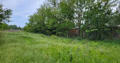 Teren Snagov