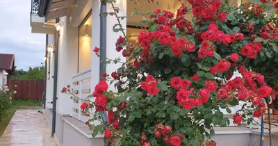 Casă Siliștea Snagovului