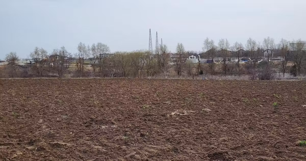 Teren agricol intravilan de vânzare de 10000 mp, în Săftica
