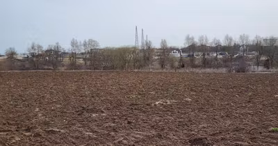 Teren Săftica