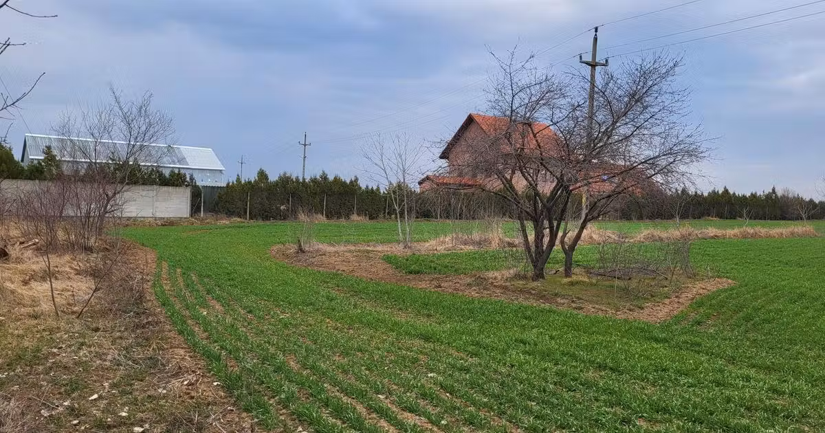Teren agricol intravilan de vânzare de 5000 mp, în Siliștea Snagovului