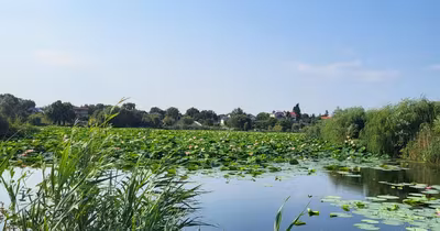 Teren Snagov