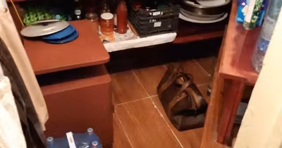 Apartament Griviței