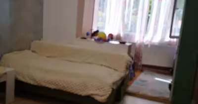 Apartament Griviței