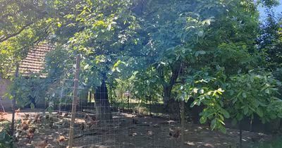 Casă Astra