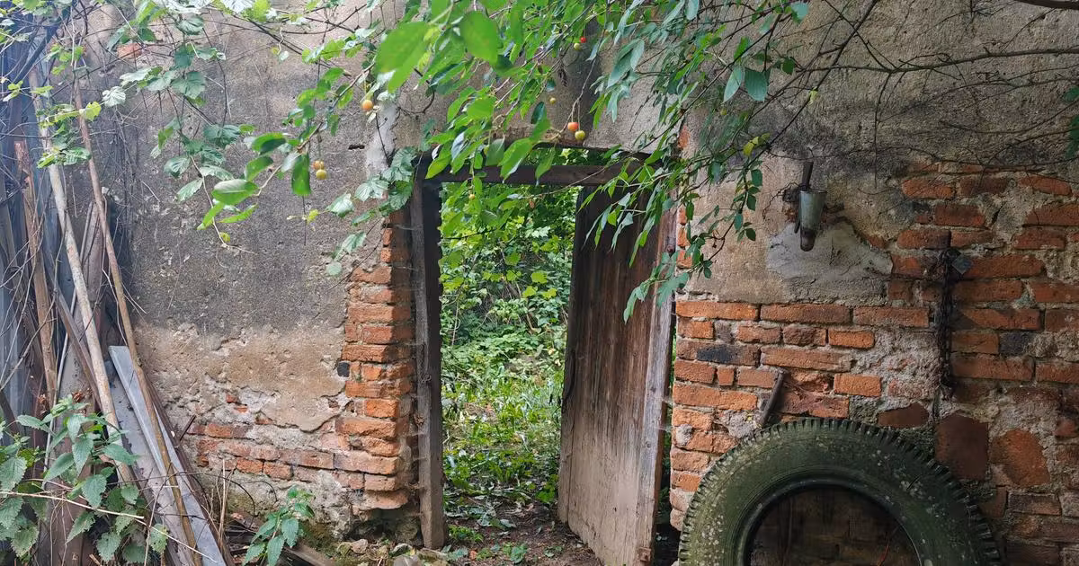 Teren Construcții intravilan de vânzare de 1277 mp, în Vulcan