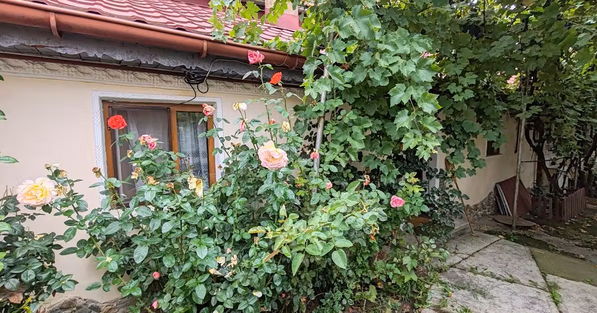 Casă individuală de vânzare cu 6 camere în Șercăița