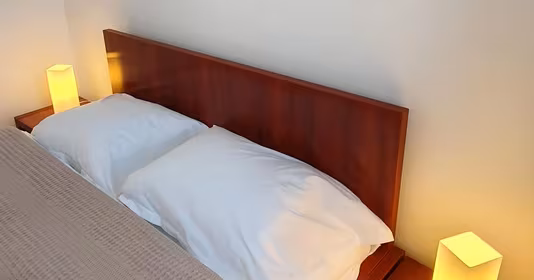 Apartament Cișmigiu
