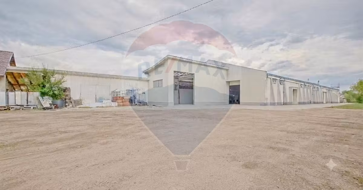 Spațiu comercial · 1716 m², Est, Sfântu Gheorghe