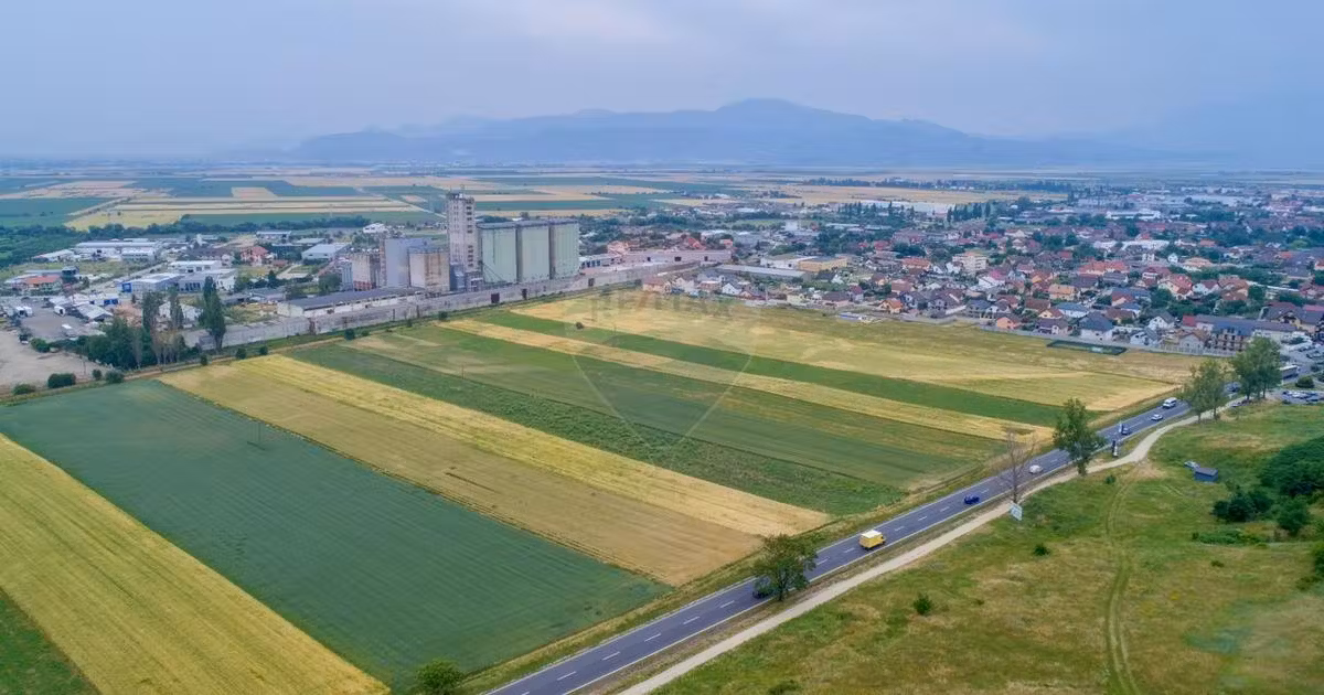Teren agricol intravilan de vânzare de 8600 mp, în Codlea