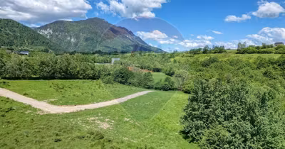 Teren Tohănița