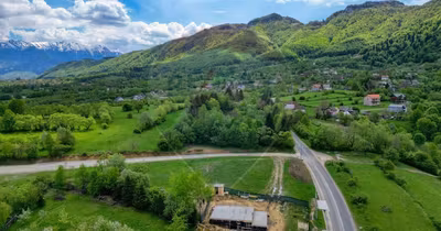 Teren Tohănița
