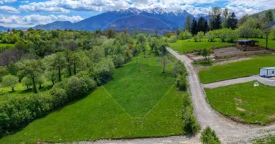 Teren Tohănița