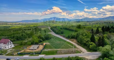 Teren Tohănița