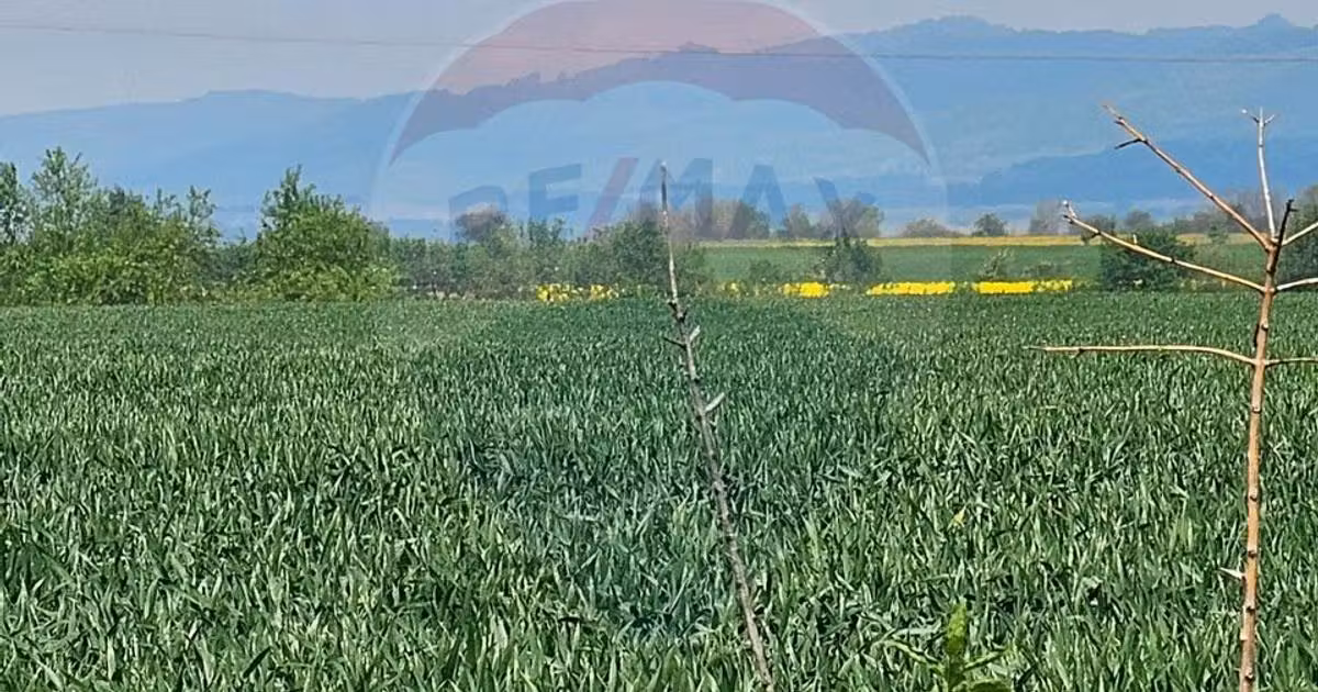 Teren agricol extravilan de vânzare de 40000 mp, în Codlea
