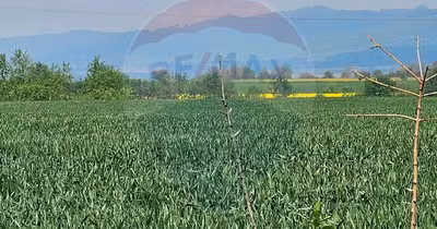 Teren Tractorul