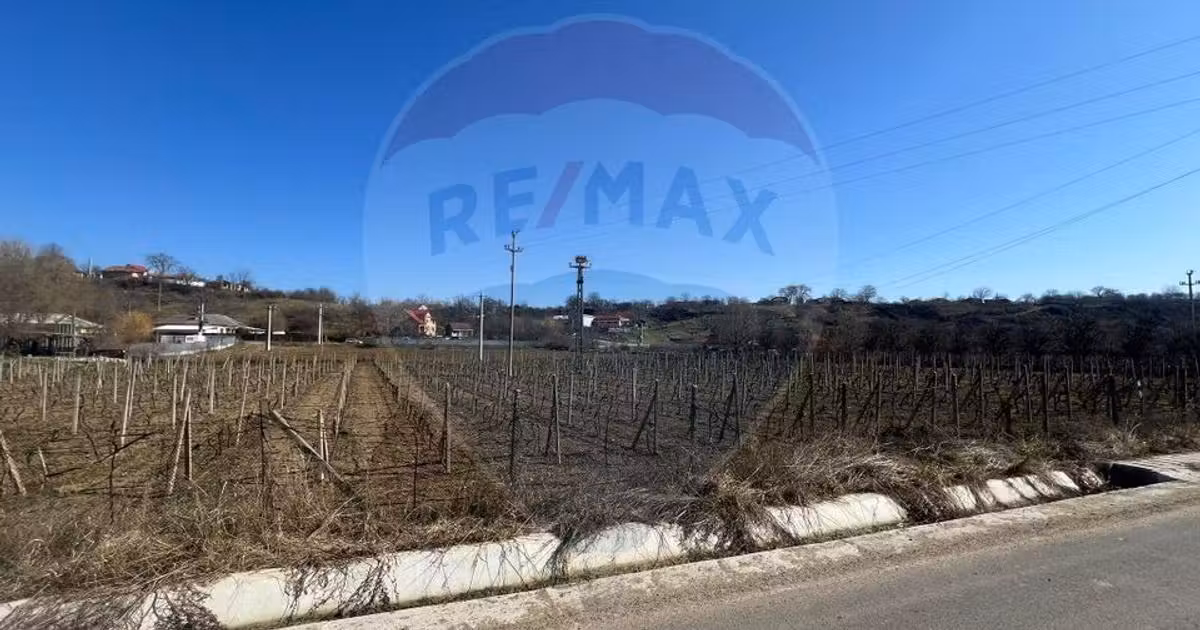 Teren Construcții intravilan de vânzare de 2700 mp, în Movilița