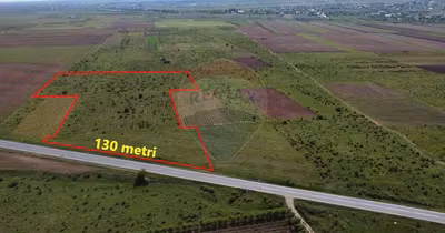 Teren Bolotești