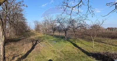 Teren Petrești