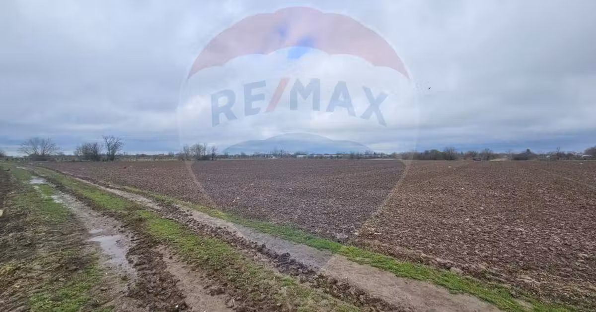 Teren Construcții intravilan de vânzare de 5000 mp, în Adunații-Copăceni