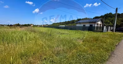 Teren Moara Vlăsiei