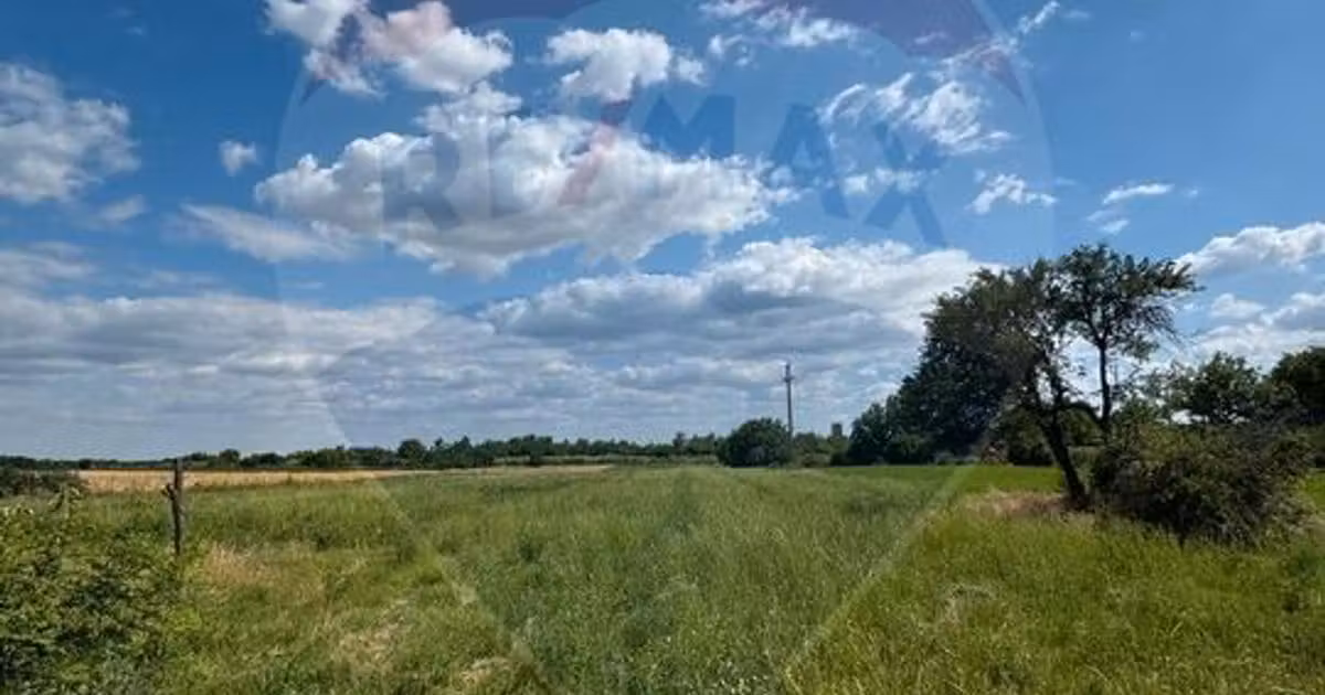 Teren Construcții intravilan de vânzare de 4000 mp, în Fierbinți-Târg