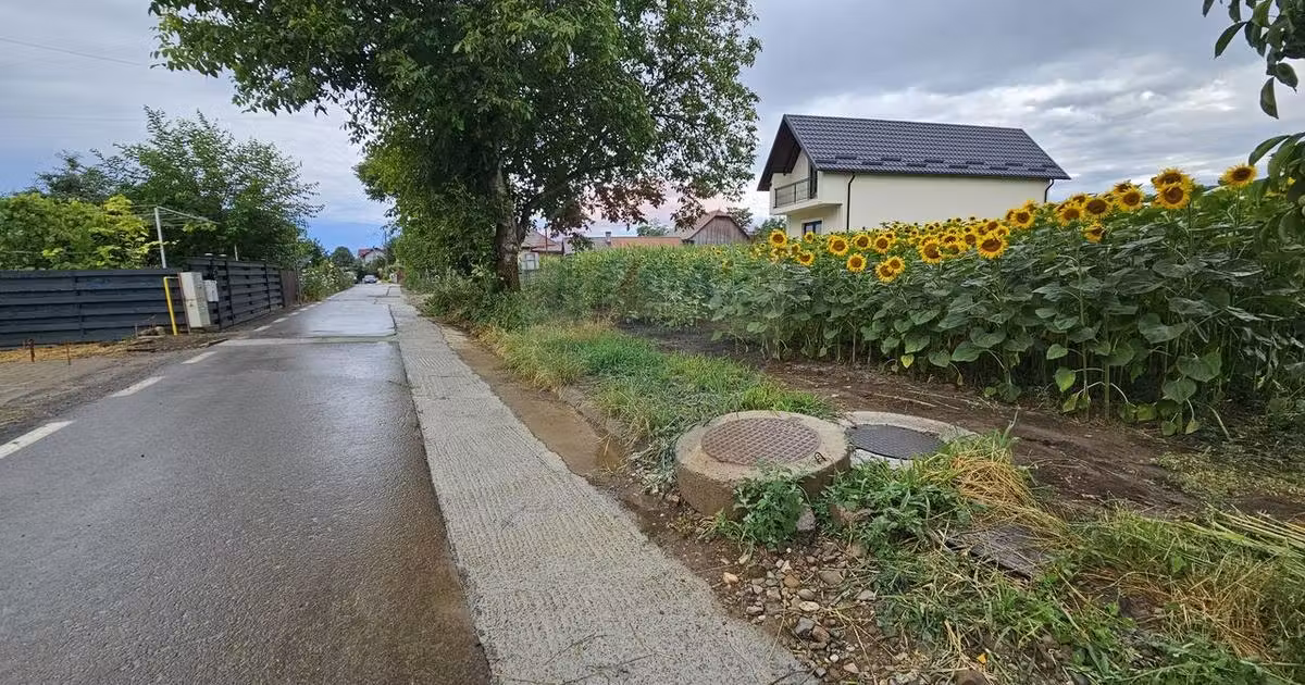 Teren Construcții intravilan de vânzare de 2600 mp, în Lisaura