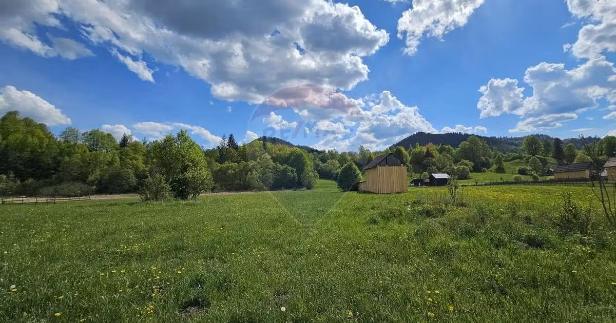 Teren Construcții intravilan de vânzare de 9010 mp, în Câmpulung Moldovenesc