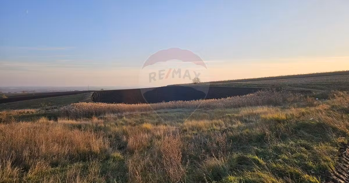 Teren agricol extravilan de vânzare de 30077 mp, în Stroiești