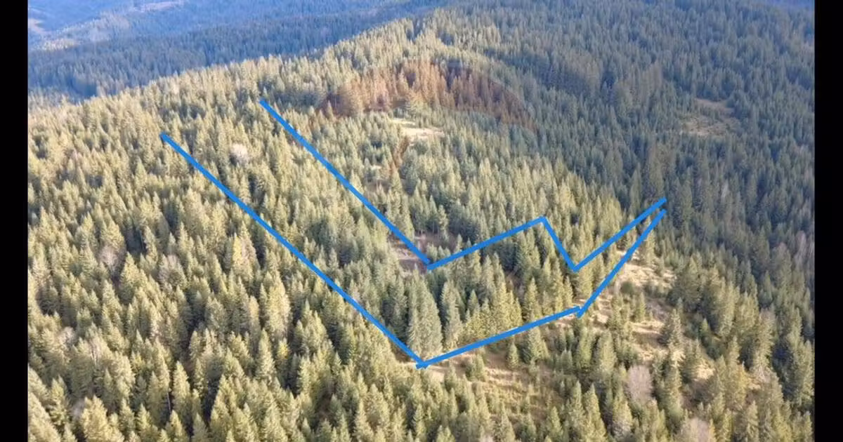 Teren extravilan de vânzare de 17895 mp, în Dorna-Arini