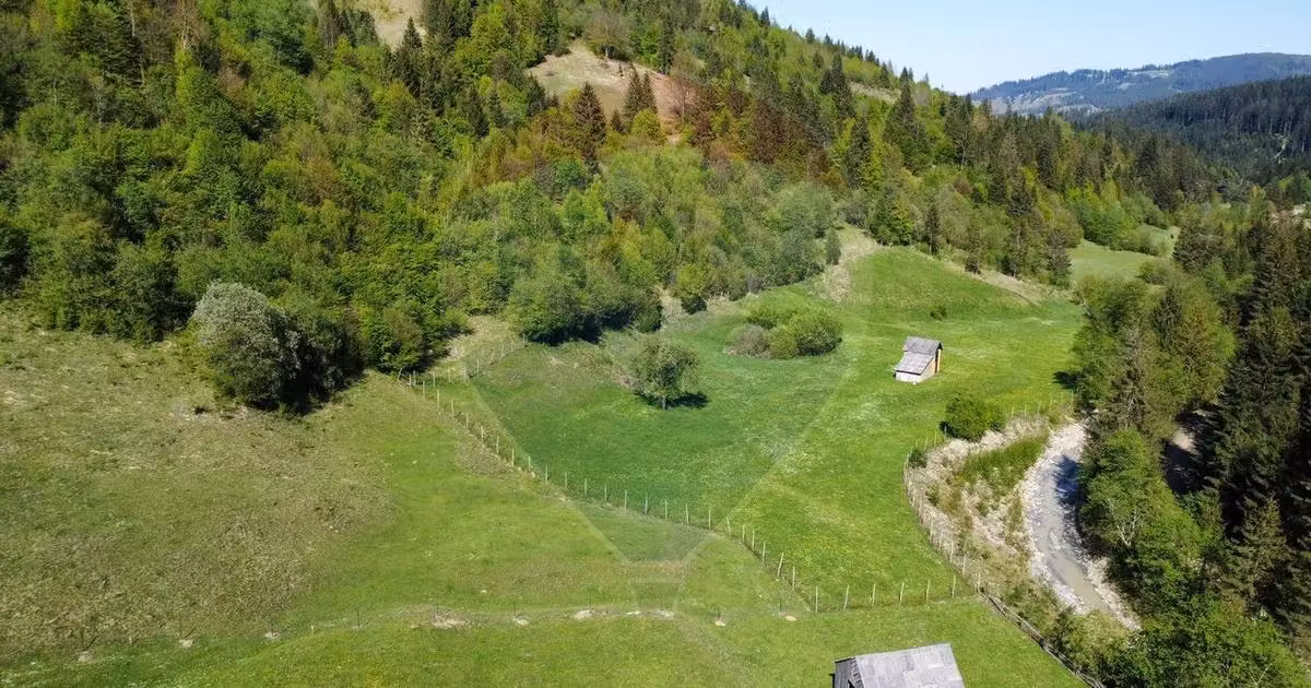 Teren extravilan de vânzare de 12127 mp, în Frasin