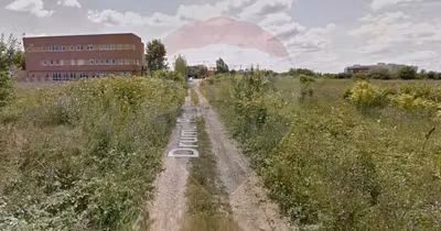 Teren Sisești
