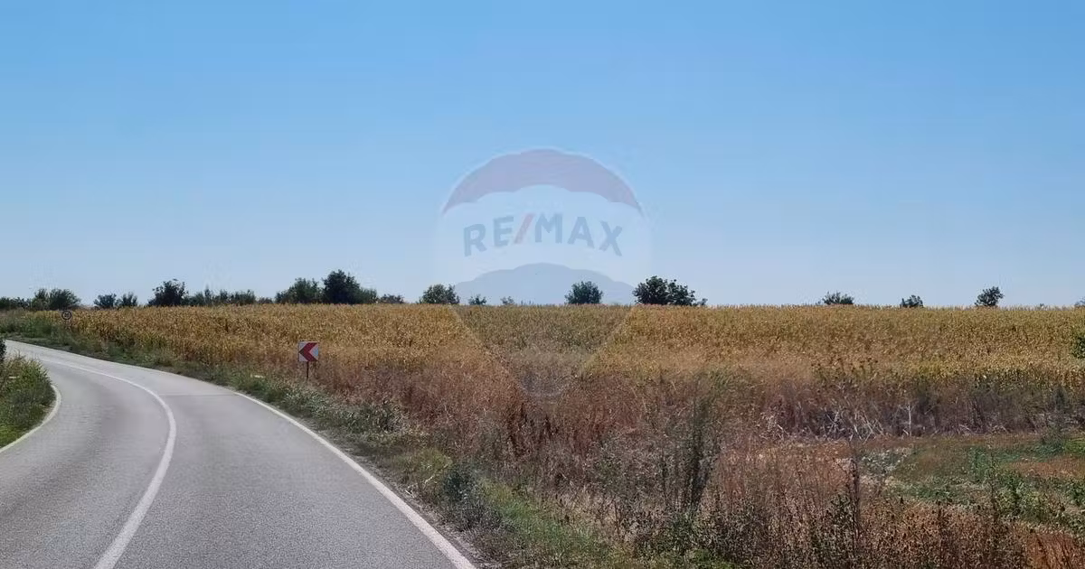 Teren agricol extravilan de vânzare de 16083 mp, în Slobozia