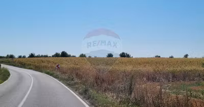 Teren Est