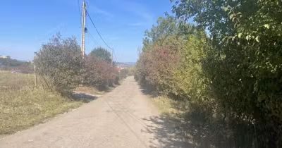 Teren Bună Ziua