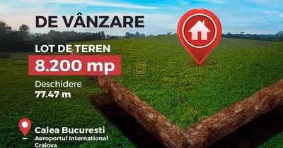 Teren Rovine