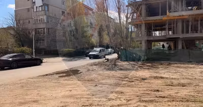 Teren Brazda lui Novac