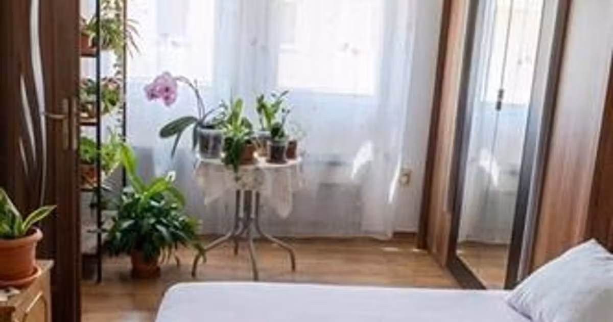 Apartament de vânzare cu 2 camere în zona Episcopia Bihorului, Oradea