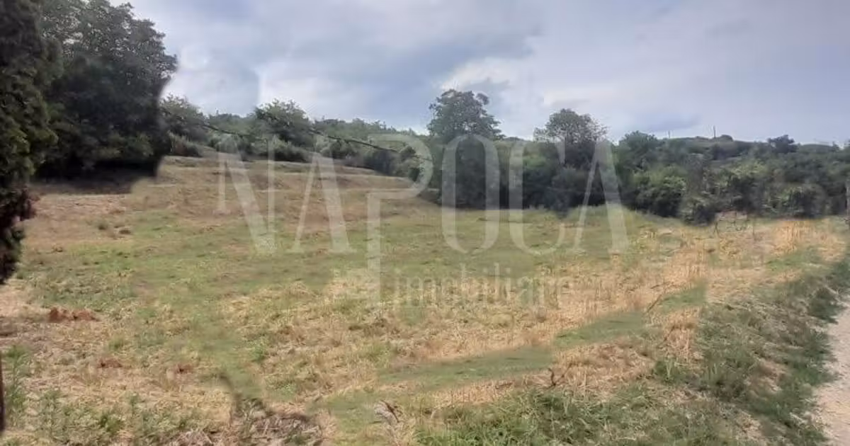 Teren Construcții intravilan de vânzare de 3298 mp, în Oradea