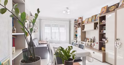Apartament Nufărul