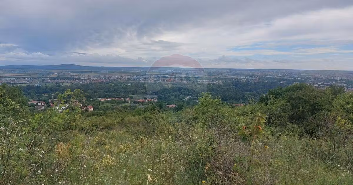 Teren Construcții intravilan de vânzare de 3100 mp, în zona Dealuri Oradea, Oradea