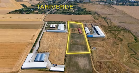 Teren Tariverde
