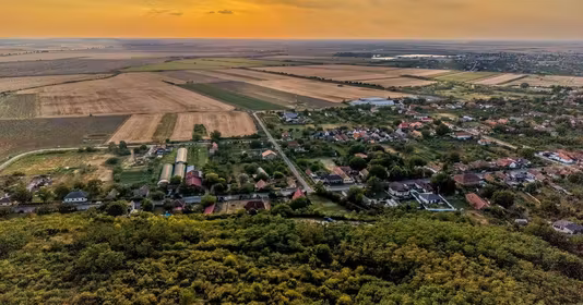 Teren Miniș