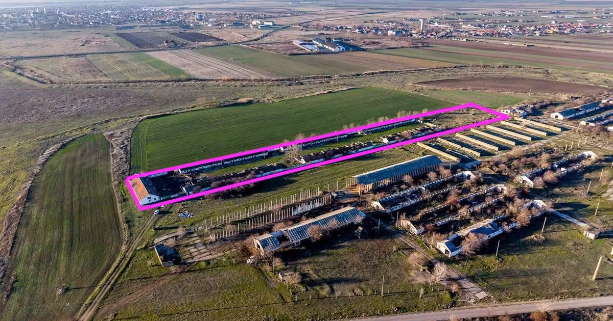 Teren Construcții extravilan de vânzare de 11467 mp, în Nădlac