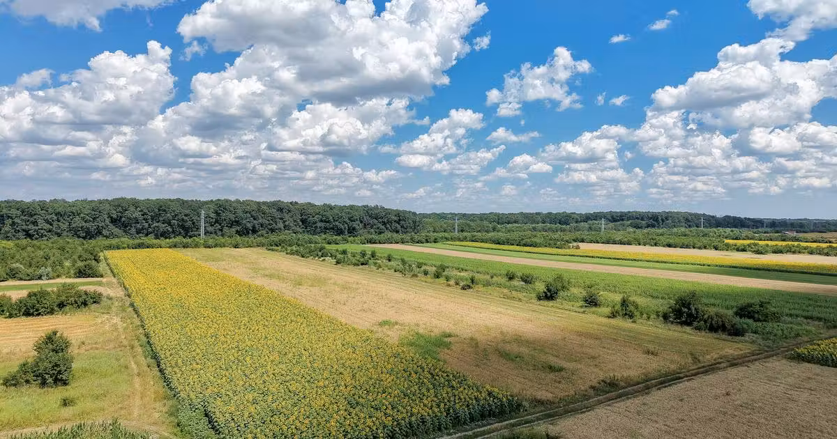 Teren Construcții intravilan de vânzare de 8400 mp, în Gulia