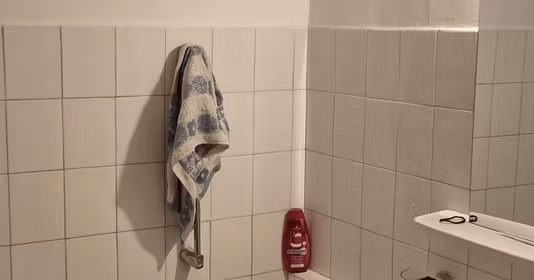 Apartament Central