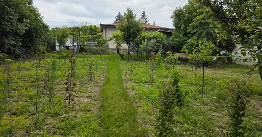 Casă Central