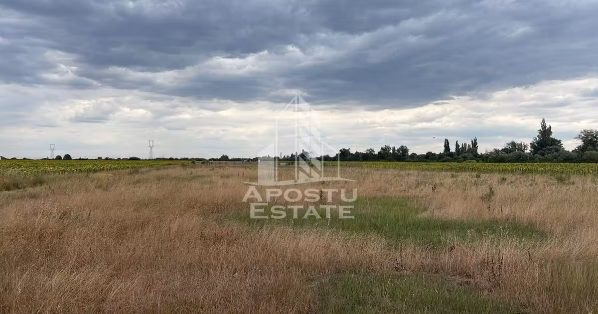 Teren Construcții intravilan de vânzare de 1000 mp, în Sânmihaiu Român
