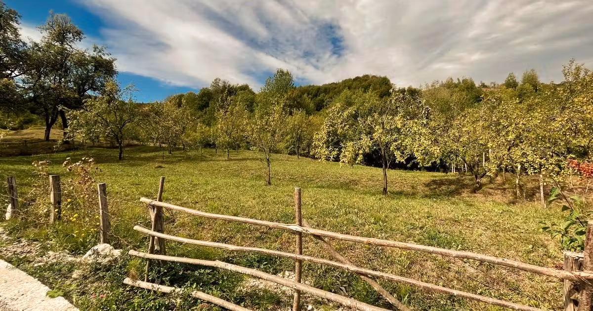 Teren Construcții intravilan de vânzare de 9800 mp, în Runcu