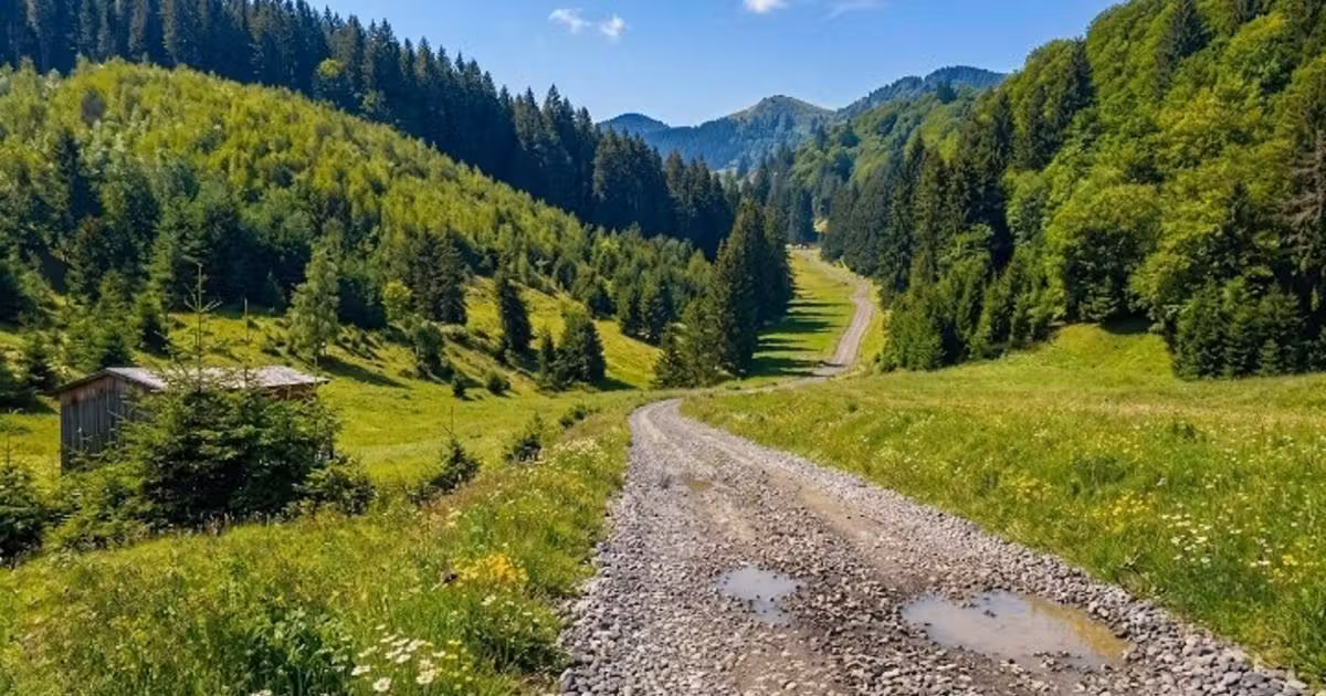 Teren Construcții intravilan de vânzare de 2763 mp, în Poiana Brașov